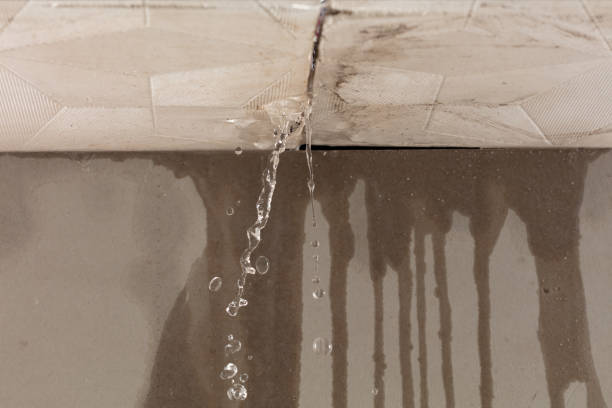 Professional Structural Drying technician working in Riverside, CT